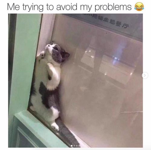 justcatposts:  Very relatable
