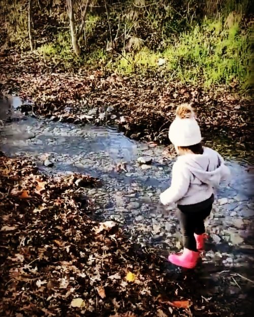 Luna in the creek. ❤️💚🤎🧡❤️💜🖤💛🤍💙