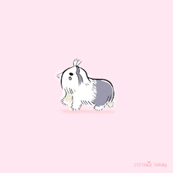 stefanieshank: sheepdog blog / instagram 