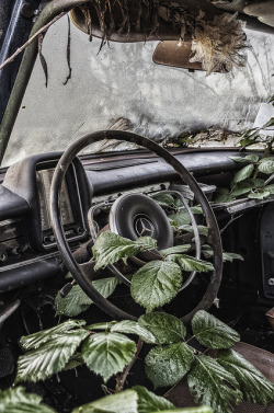 fuckyeahabandonedplaces:  Abandoned car. by Dacool-DK Urbex Photography