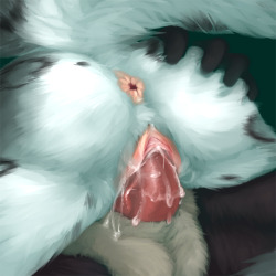 awolthefox:  “Close up straight sex” as requested