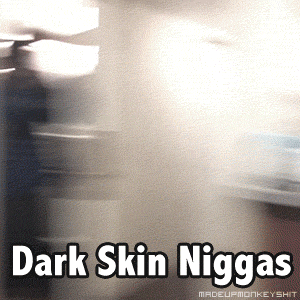 shaehovah:  madeupmonkeyshit: How dark skin niggas enter a party