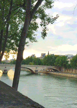 nitratediva:  View of the Seine from Île Saint-Louis (as captured