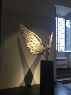 sgtpeppersofab: Marble wings, Palatine Museum. 