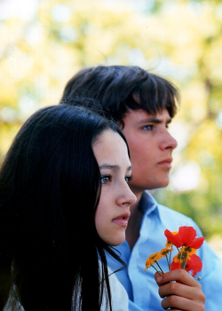 absolute-most:Olivia Hussey and Leonard Whiting on set of Romeo