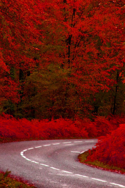 earthlycreations:  Red Right Turn - Photographer 