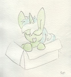 slightlyshade:Rectangular box with a pony inside. <3