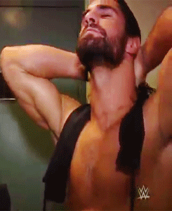 queenofblackharts:  Here, have Seth Rollins and some arm porn.