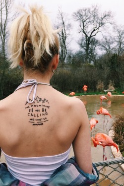 1337tattoos:  Lone Wolf Tattoo Franklin, Tn submitted by http://this-old-soul.tumblr.com