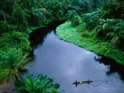 miumiu2000:  Congo Waterway by Michael Nichols