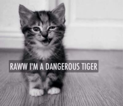 ROAR! :P