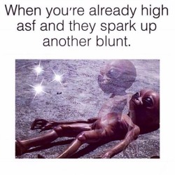 weedporndaily:  How many blunts before you tap out? #PuffPuffPassOut