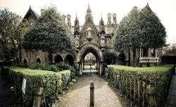 architecturalserendipity:  Gothic Houses in London by Tom Cooke