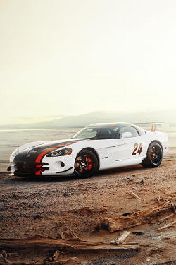 tentcamp:  © / tentcamp Dodge Viper ACR special edition Mojave