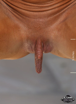 pussymodsgaloreHairless pussy with a prominent clit and stretched