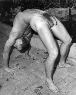 mountainguy000:How would you like that furry package in your