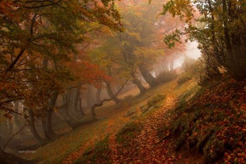 silvaris:  Terre d'abruzzo by marco fiorani