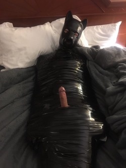 pup-demmy:  First experience with mummification. I had a super