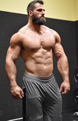 musclecorps:  