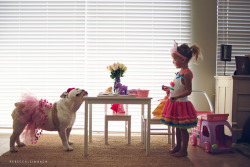 photohab:  Harper and Lola by Rebecca Leimbach