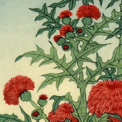 aloe-falsa-deactivated20170621: Katsushika Hokusai (1760 - 1849),