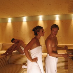 Sauna / Wellness