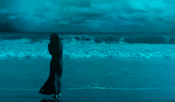 vilenwright:  Isn’t it a paradise? 