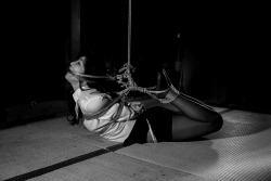 koteotakate:Photo&Rope: Koteo Takate Model: Yuika Sawa
