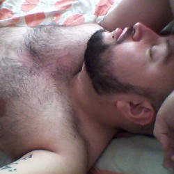 cesarincub23:  #lazybear #bear #queer #mexicocity #beard #sleepybear
