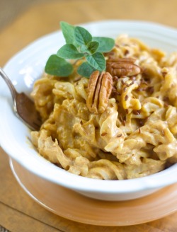 alloftheveganfood:  Vegan Pumpkin Entree Round Up Pumpkin Alfredo