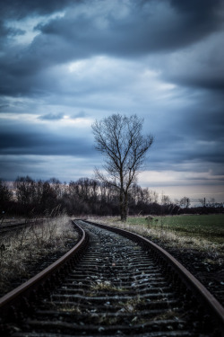 lensblr-network:  My obsession with railway-tracks…… started