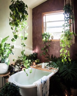 artisticlog:  Heaven 🍀☘️🌿🍃🌱✨