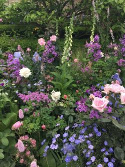 english-idylls: From RHS Chelsea Flower Show via Nigel Slater.