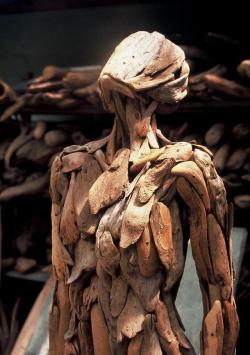 ronbeckdesigns:  Nagato Iwasaki driftwood sculptures(via (19)