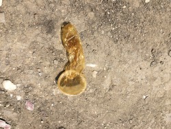 usedcondomss:  This is by far the dirtiest boy in town
