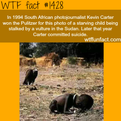 wtf-fun-factss:  The saddest photo in the world? WTF FUN FACTS