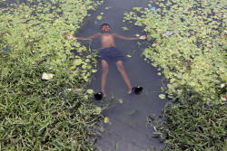 fotojournalismus:   A boy floats in a pond to cool off on a hot