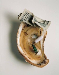 1998 - Irving Penn, Still Life for Vogue The Irving Penn Foundation