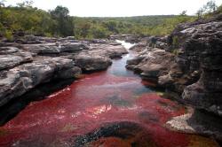 sixpenceee: The River of Five Colors Known by many as “the