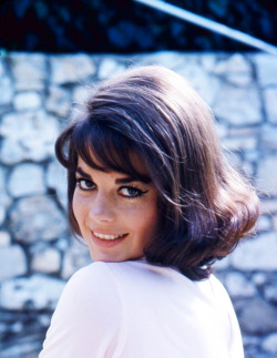 gregorypeck:  Natalie Wood photographed by Peter Basch, 1964