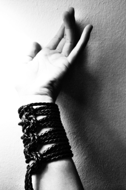 a-ya-ko:our-sayuri-san:  ♥  This is my hand. My rope. My knots.My
