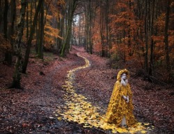 Autumn Queen (by Kirsty Mitchell)