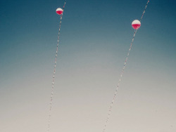 crescendence:   	“balloons and birds” by Jaimie  Wylie  