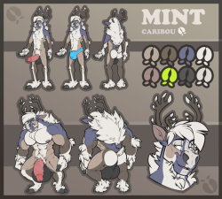 mintdoodles:Made myself a new ref!