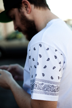 DREAM FASHION