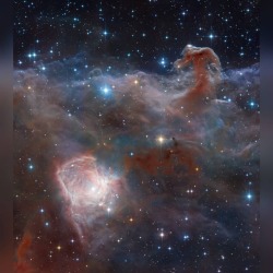 Horsehead: A Wider View #nasa #apod #eso #vista #hla #hubbleheritageteam