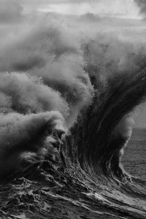 hosenklapse: