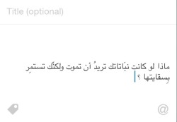 سِبتِمبر