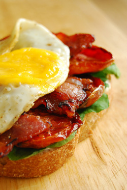 in-my-mouth:  Bacon and Fried Egg Sandwich