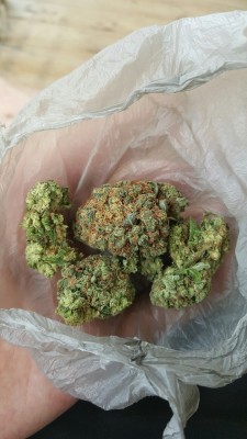 red-beard-tells-no-tales:  Some beautiful Pineapple Express.